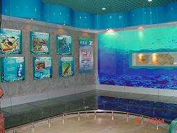 古生物博物馆展览-深圳市仙湖植物园 (4)