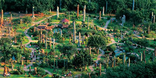 化石森林展览—深圳市仙湖植物园 (1)
