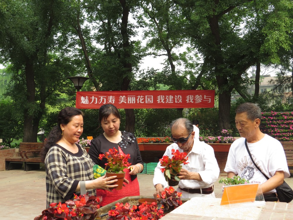 栽植活动1