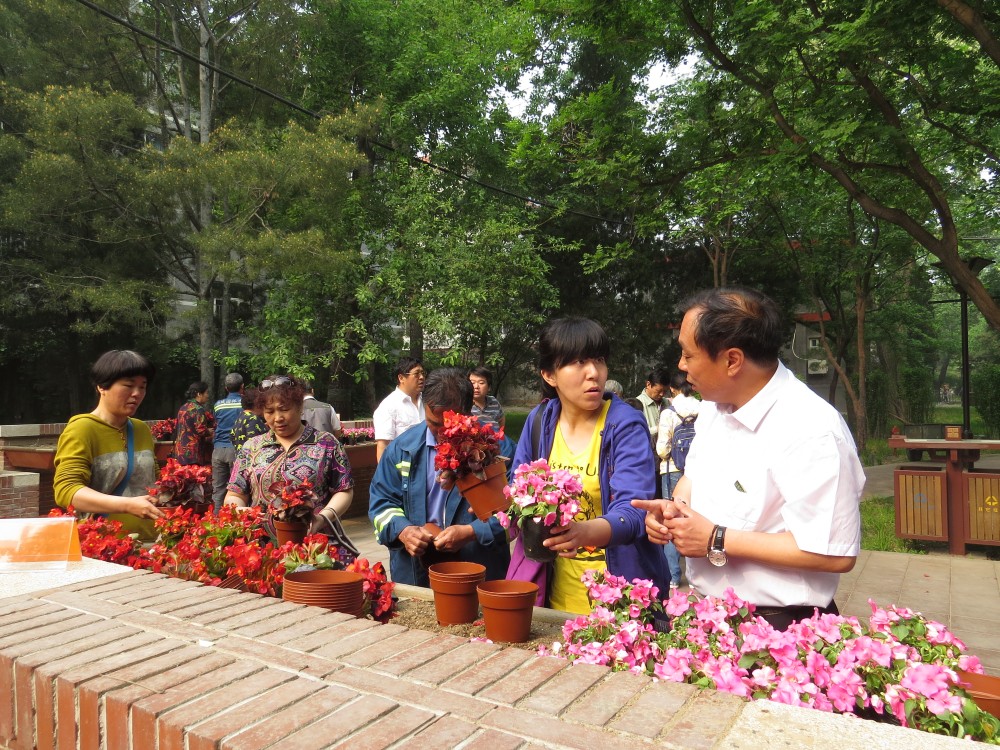 栽植活动3