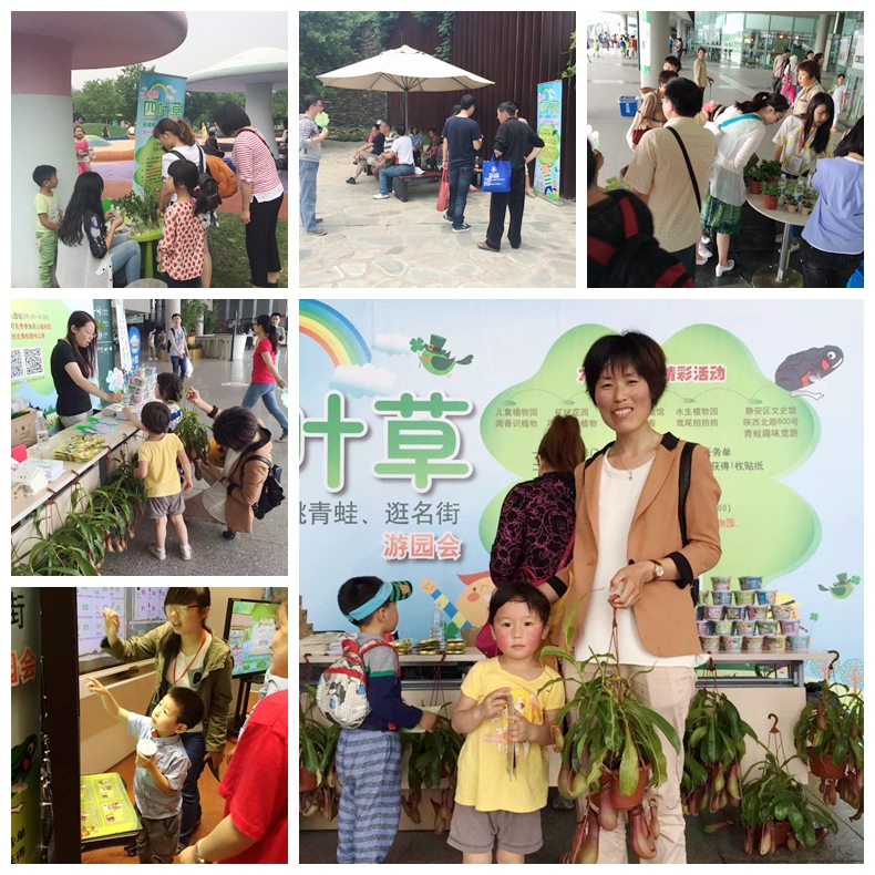3.辰山六一“四叶草游园会”活动掠影