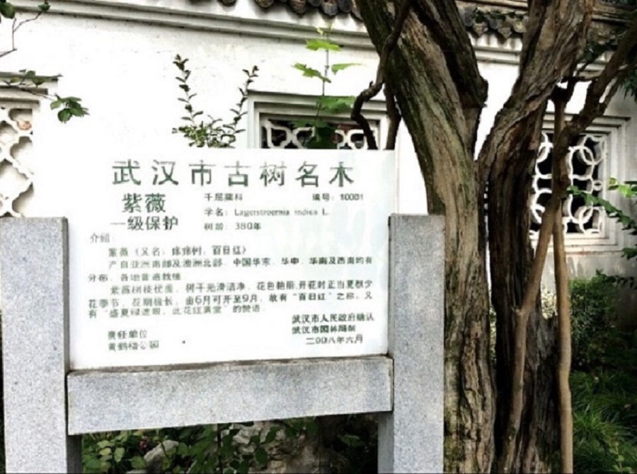 11-15-50-69-250 - 副本