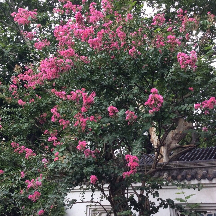 11-18-16-44-250 - 副本