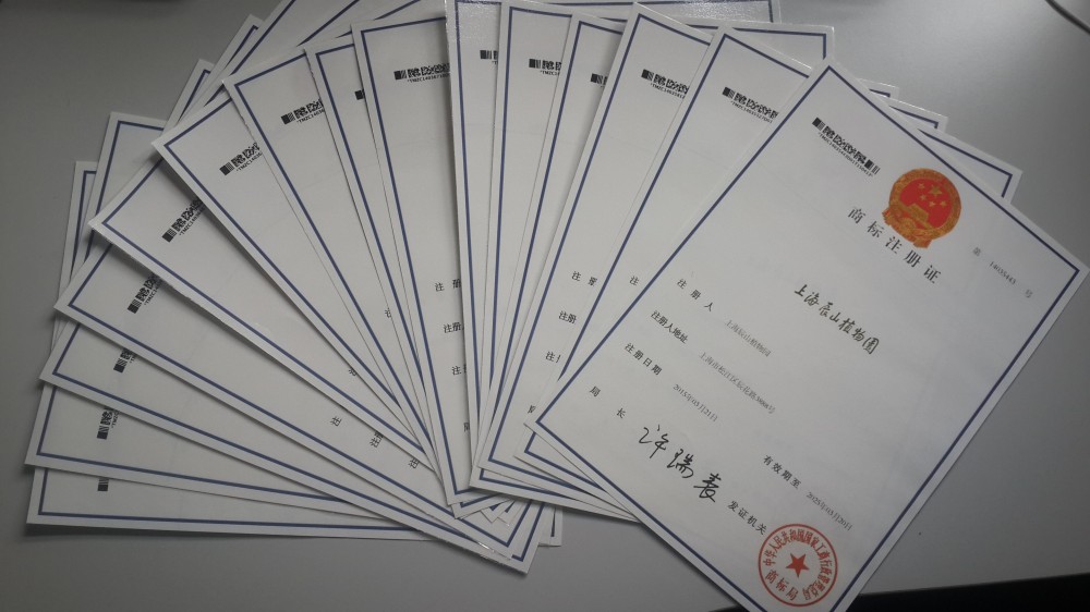 图. 辰山 商标注册证