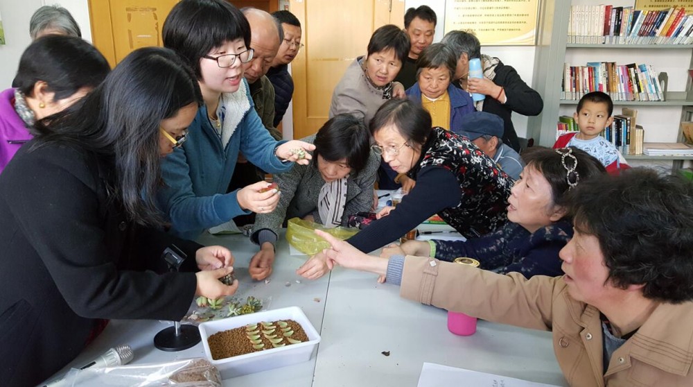 图1 辰山学雷锋活动现场