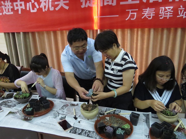修改中心DIY多肉 (13)