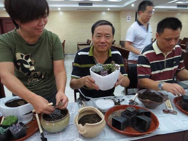 修改中心DIY多肉 (14)