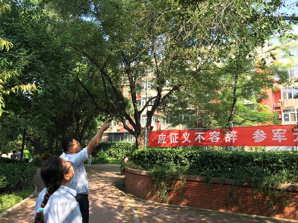 修改3