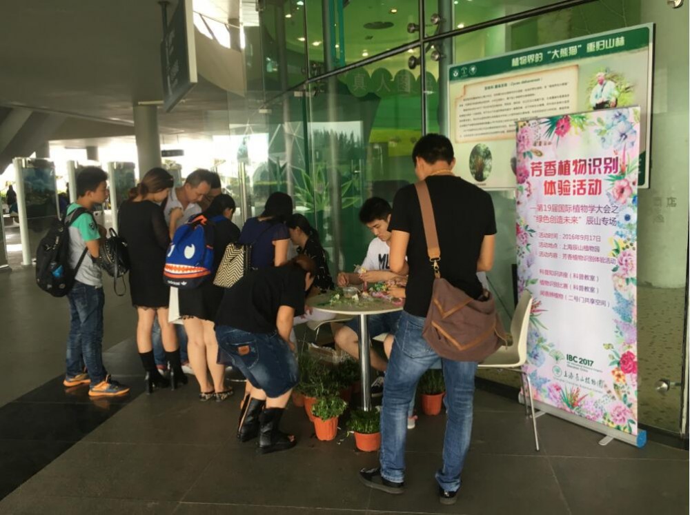 图6 游客现场参与