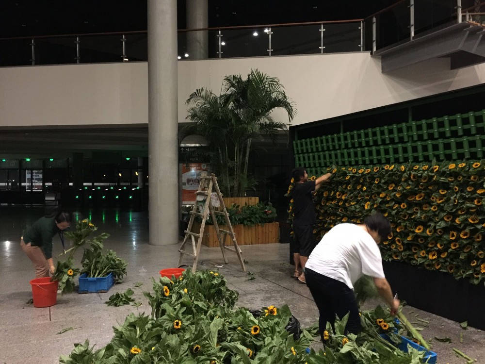 图1 辰山园艺师布展现场