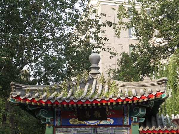 修改5
