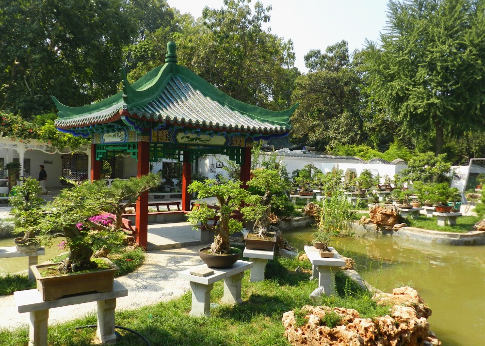 DSCN7832_副本_副本