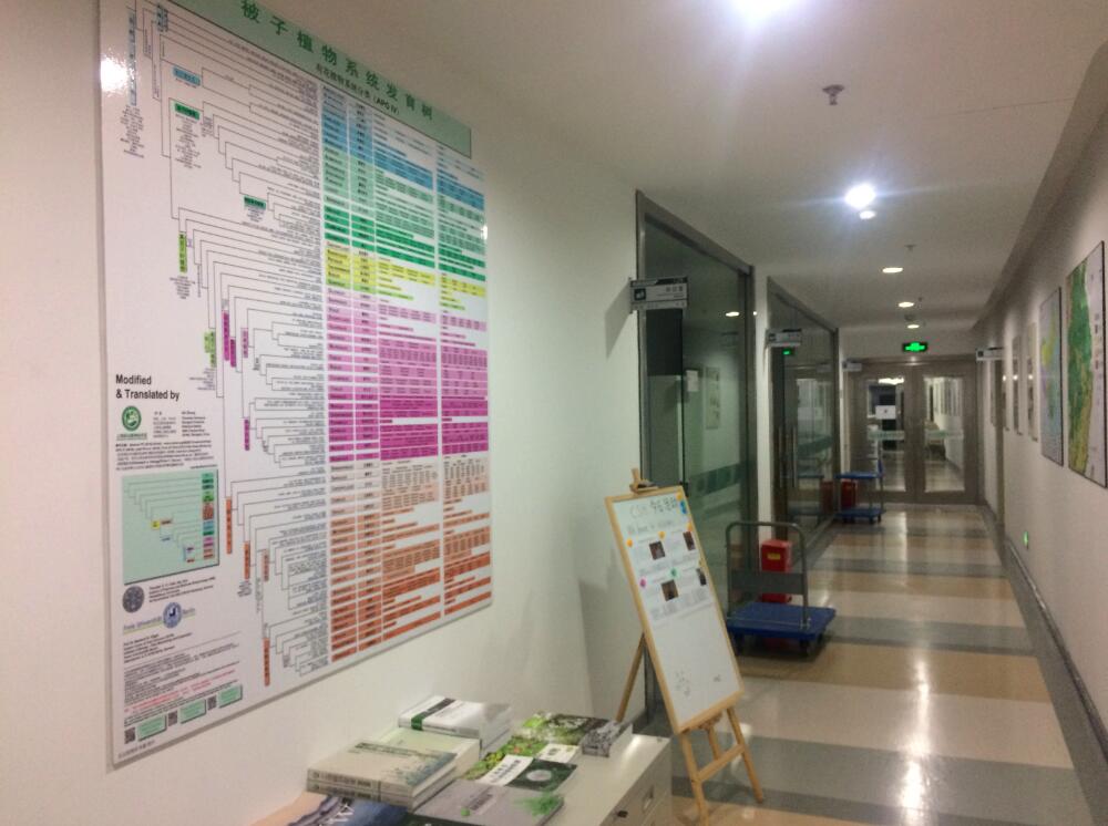 图3 上海辰山植物园标本馆掠影