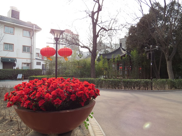 修改春节后综合检查 (3)