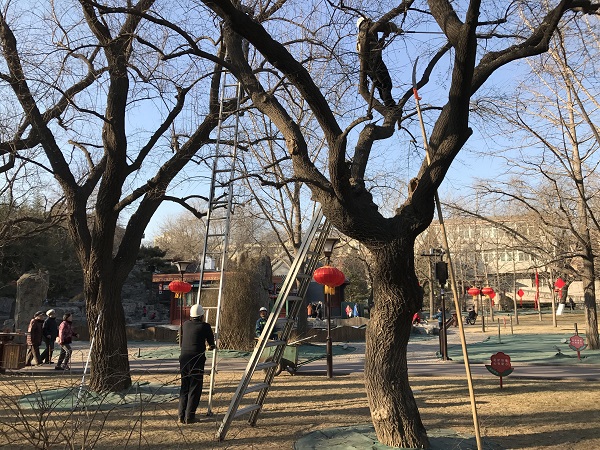 修改修剪 (1)