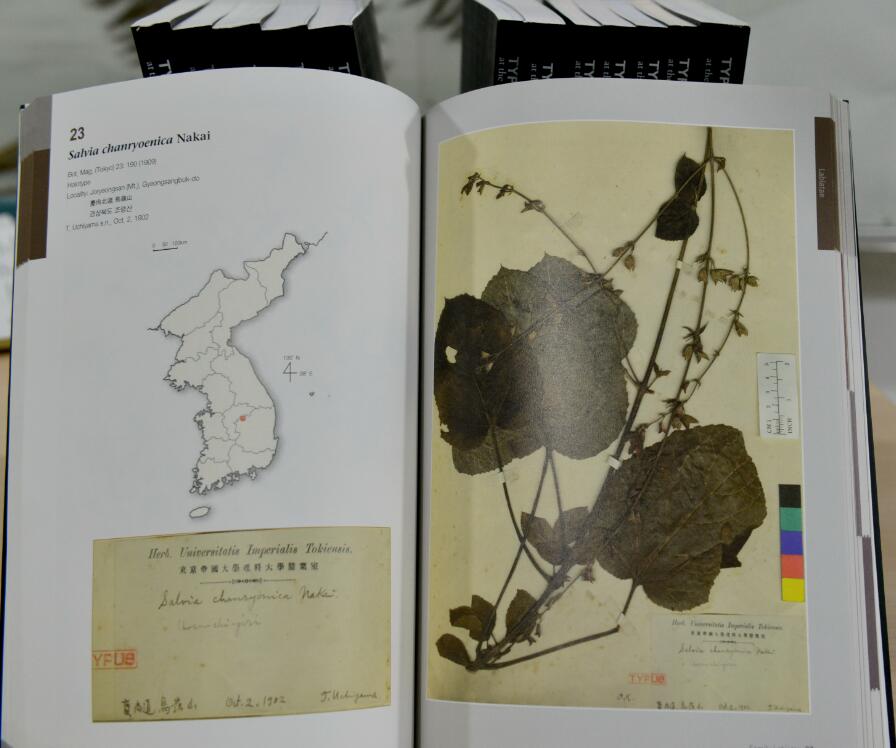 图3 CSH受赠13卷本的朝鲜半岛模式标本图集