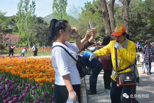 微信图片_20170417095017