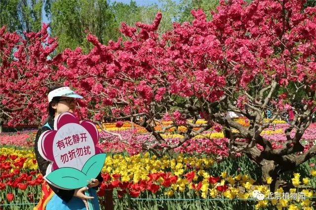 微信图片_20170417095407