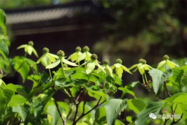 微信图片_20170503105443