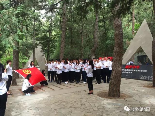 微信图片_20170505153246