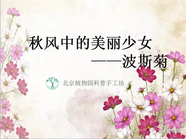 微信图片_20170602101926