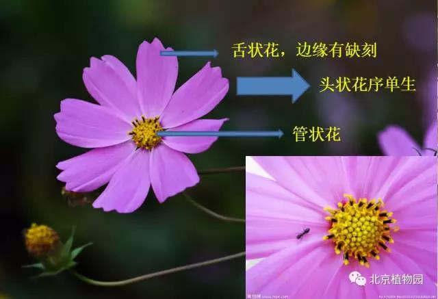 微信图片_20170602101946