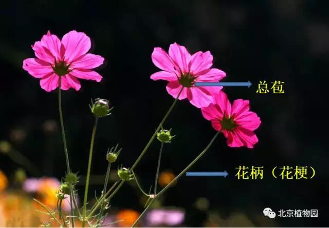 微信图片_20170602102503