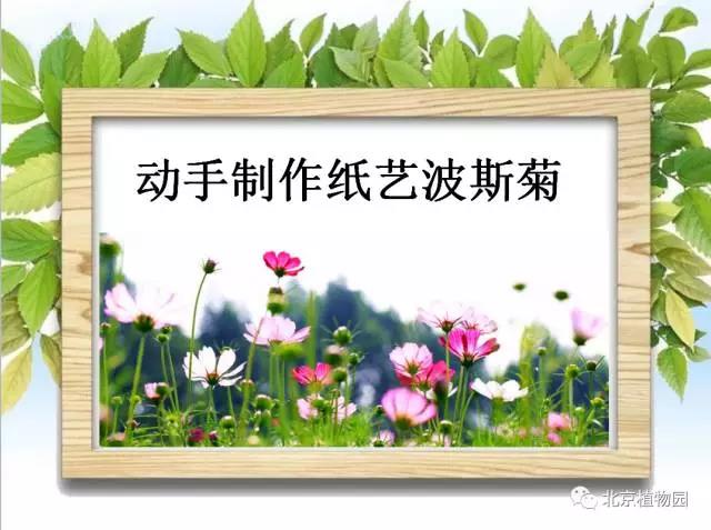 微信图片_20170602102622